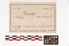 Etikett zu Bronzegürtelblech (NHMW-PRAE-001392)